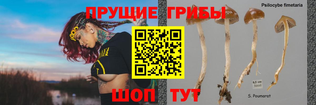 Псилоцибиновые грибы Psilocybe  Вход с VPN  наркошоп  Хабаровск 