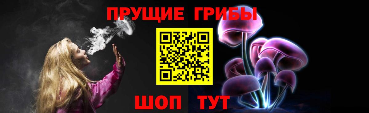 Галлюциногенные грибы Psilocybe Хабаровск